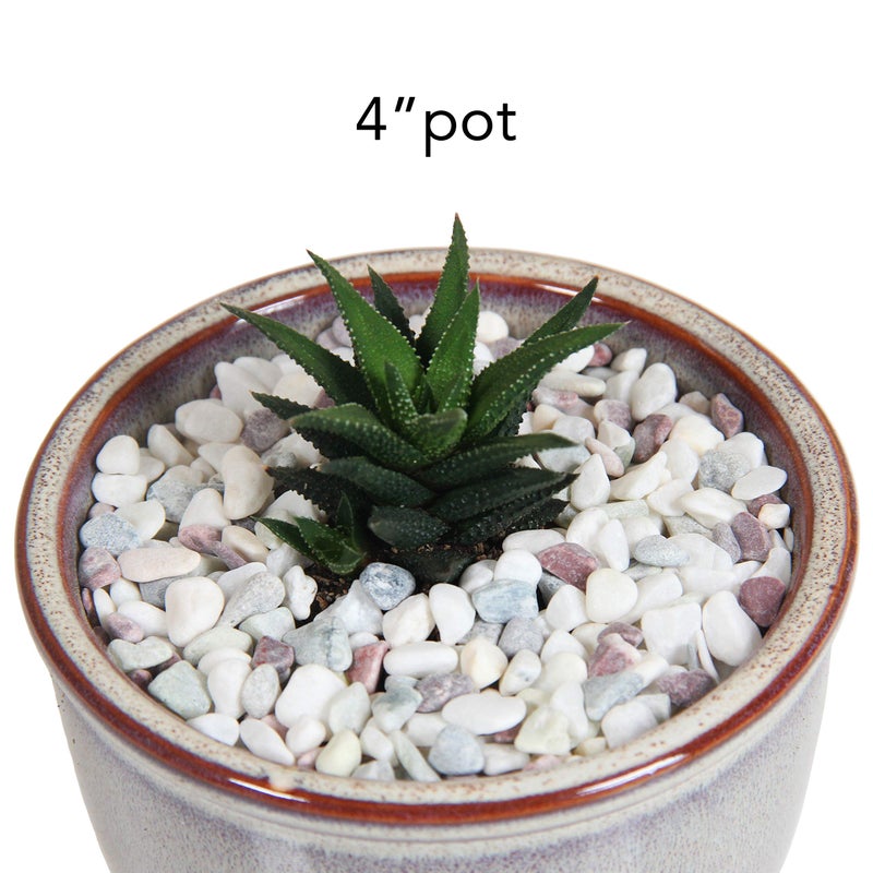 Willowy Decorative Pebbles for Plants and Vases - White Rocks with Red, Green, and Blue Pastel Accents - 2.5 lbs Natural Stone Top Dressing for Potted Plants and Succulents - 1/5" to 3/8" Size (5-10 mm) - Image 5